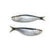 CALVO Sardina Entera Bolsa 900g. Congelado 0% glaseo