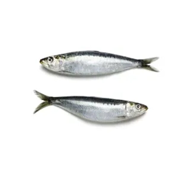 CALVO Sardina Entera Bolsa 900g. Congelado 0% glaseo