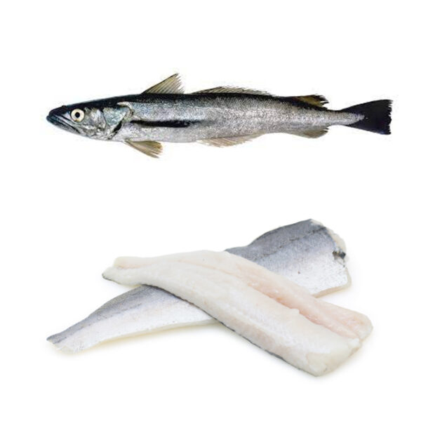 CALVO Merluza Argentina Bolsa 800g. Congelado 0% glaseo