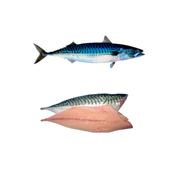 CALVO Filete Caballa del Sur CHN C/Piel 100-160g Bolsa 1kg. Congelado 20% glaseo