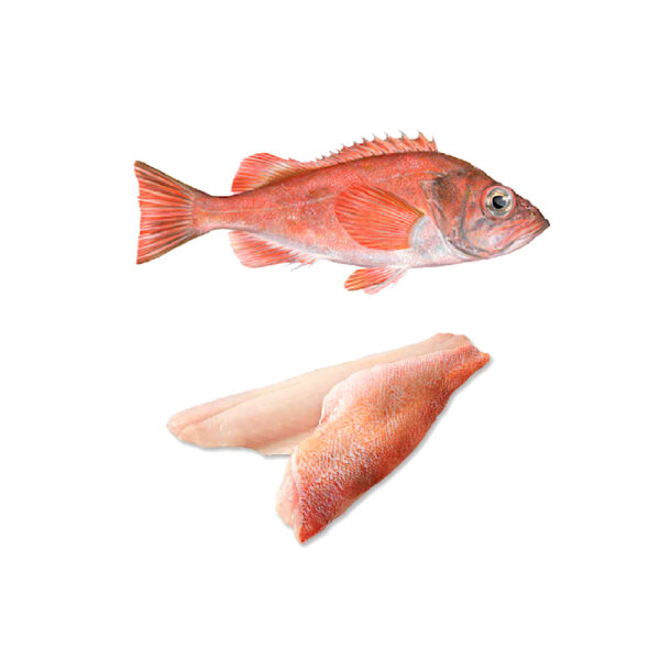 CALVO Filete Gallineta Oceánica C/Piel 100-150g Bolsa 1kg. Congelado 20% glaseo