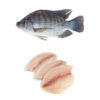 CALVO Filete Tilapia CHN 3-5oz Bolsa 1kg .Congelado 25% glaseo