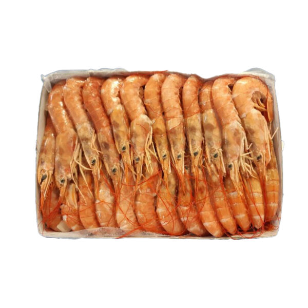 CALVO Gamba Langostino Austral Argentino 20/30pz/kg Bolsa 2kg. Congelado 0% glaseo